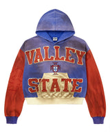 Vale Forever Alumni Pullover Multicolor Hoodie