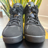 Jordan 6 Retro DMP (2020) - Pre-Owned